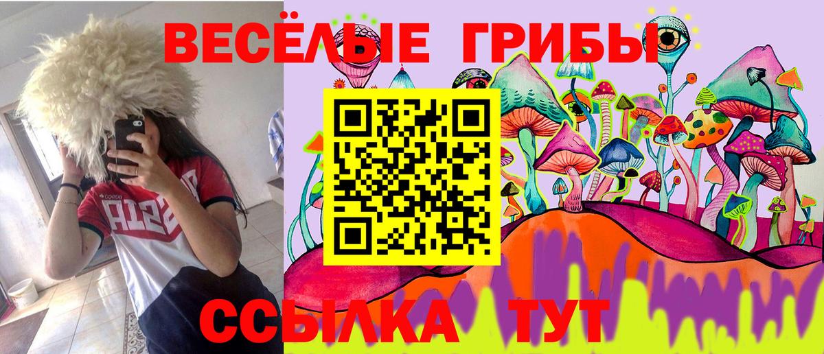 Галлюциногенные грибы мицелий  Галлюциногенные грибы Cubensis  Вход с VPN  Кемерово 
