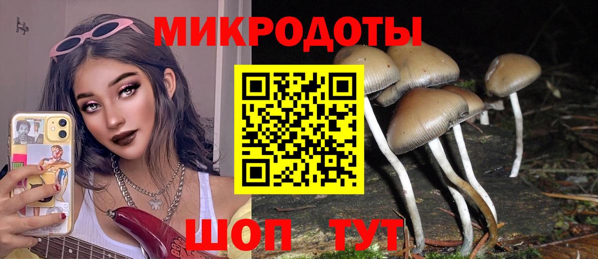 Псилоцибиновые грибы Psilocybine cubensis Кемерово